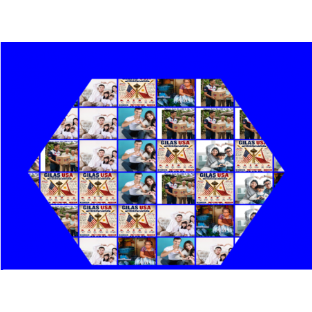 GILAS USA SILVER MEMBERSHIP — $30/month